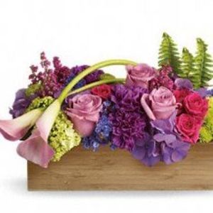 Meet your Posher, Lucy